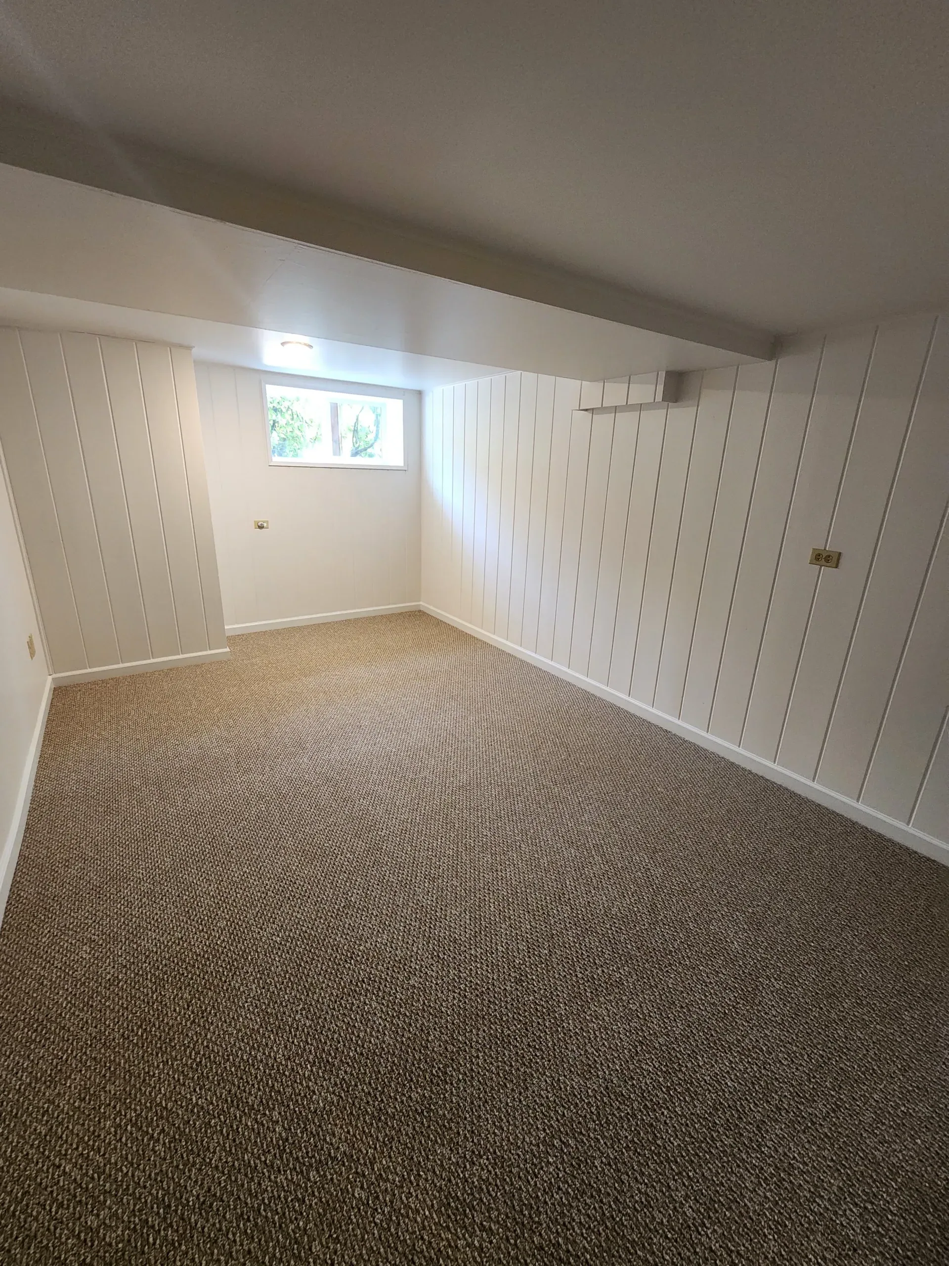 Interior residential painting Freshly painted white vertical shiplap walls in a finished basement bonus room with new carpet