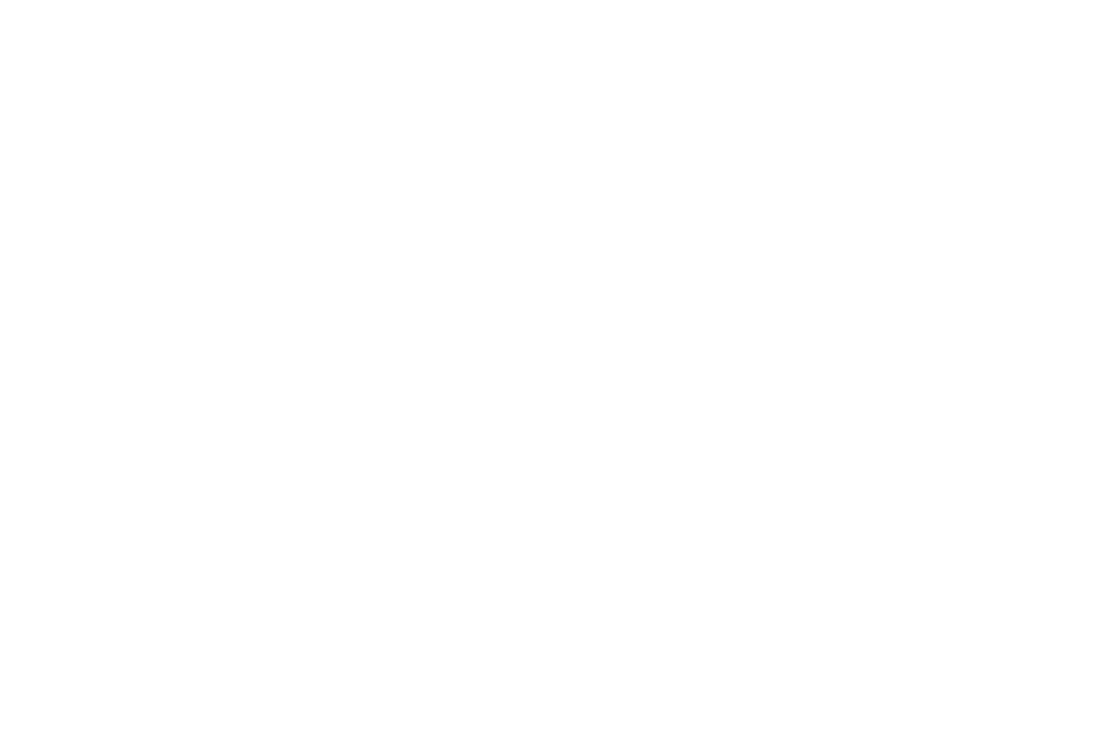 logowhiteall